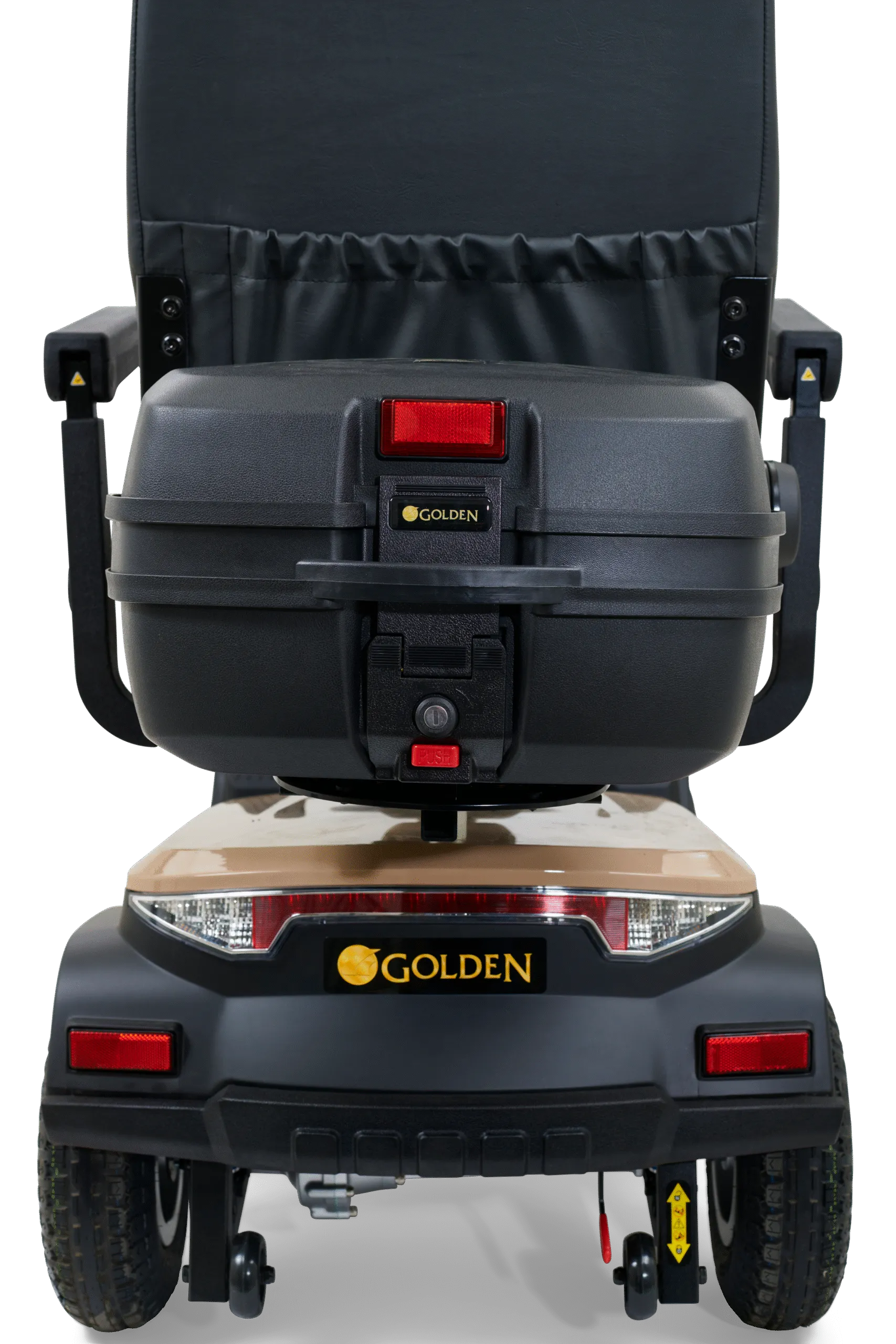 Golden Eagle - Image 11